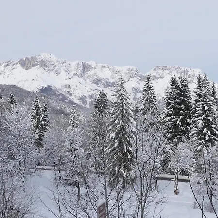 Haus Elisabeth, Rossfeldalm *